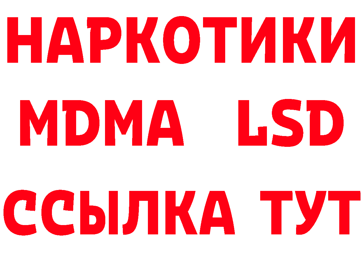 Галлюциногенные грибы мицелий ТОР это блэк спрут Губаха